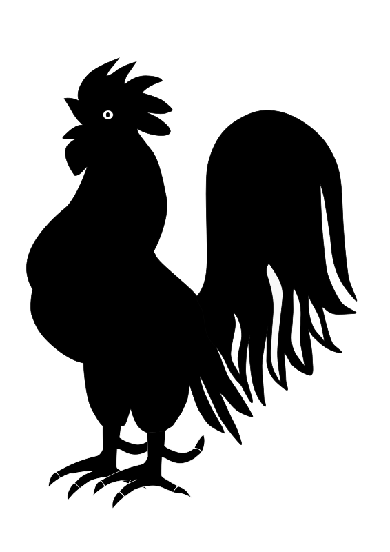 Rooster Silhouette Black and white Clip art - rooster png download - 566*800 - Free Transparent Rooster png Download.