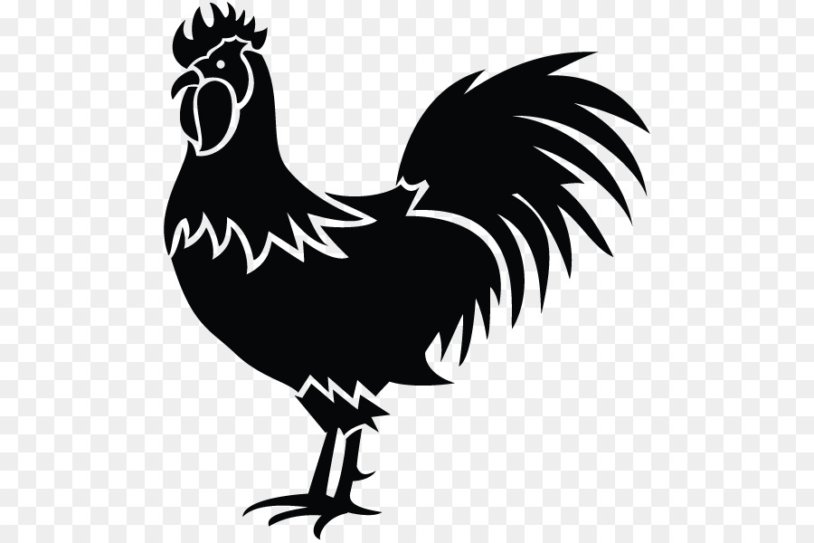 Chicken Vector graphics Rooster Illustration Clip art - chicken png download - 600*600 - Free Transparent Chicken png Download.