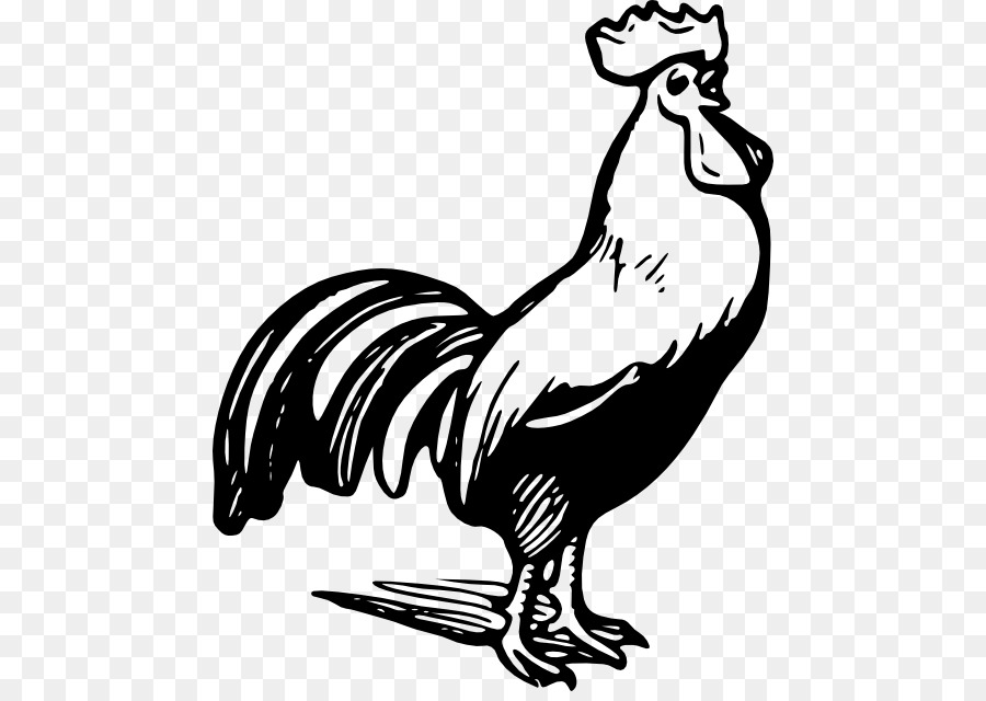 Rooster Chicken Clip art - rooster vector png download - 512*631 - Free Transparent Rooster png Download.