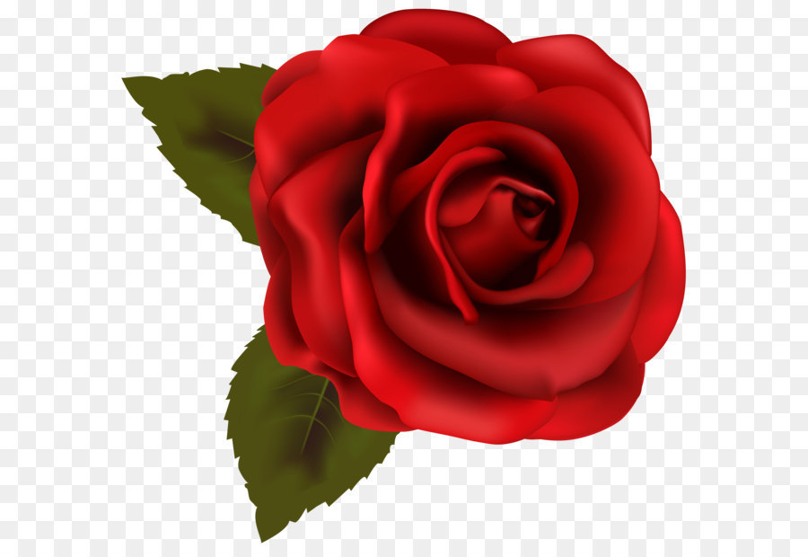 Rose Red Clip art - Beautiful Red Rose Transparent PNG Clip Art Image png download - 6904*6511 - Free Transparent Rose png Download.