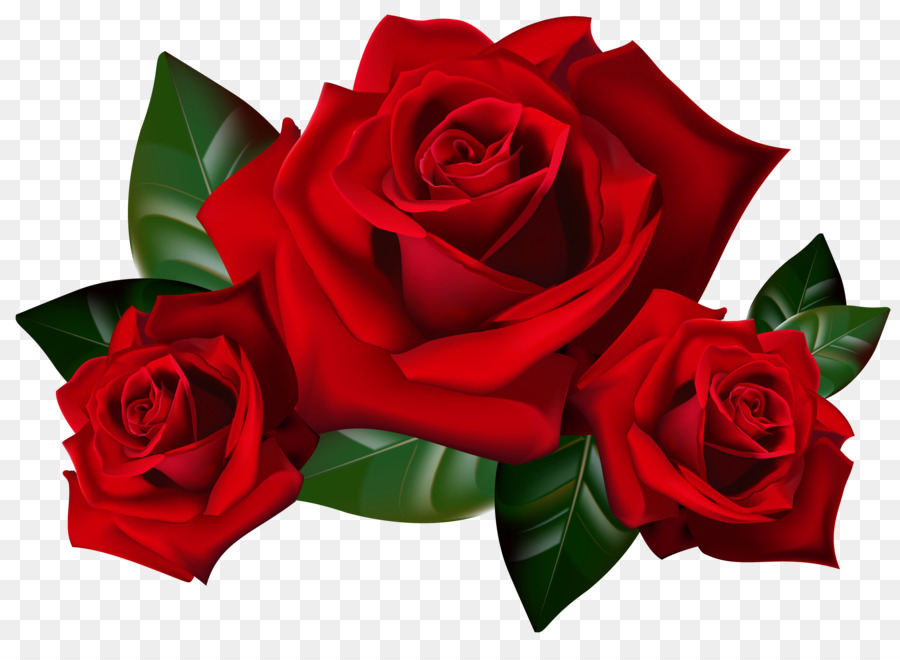 Rose Clip art - Rose PNG Clipart png download - 2586*1840 - Free Transparent Rose png Download.