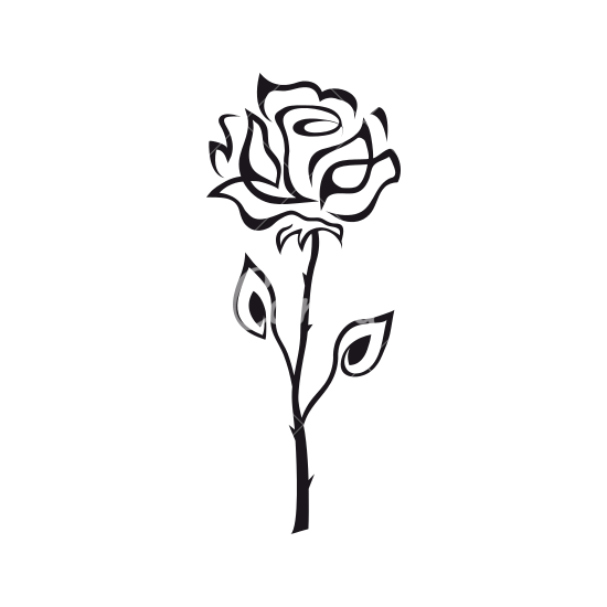 Rose Clip Art Rose Png Download 550550 Free Transparent Rose Png