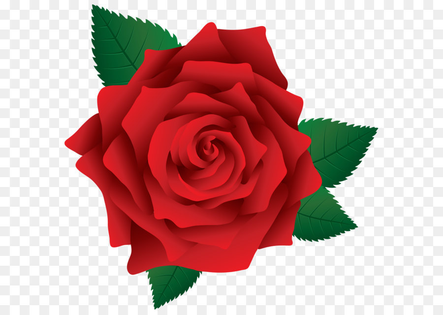 Rose Pink Clip art - Red Rose PNG Image Clipart png download - 5953*5854 - Free Transparent Rose png Download.