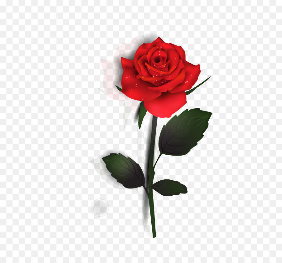 Rose Euclidean vector - Rose png download - 833*833 - Free Transparent Rose png Download.