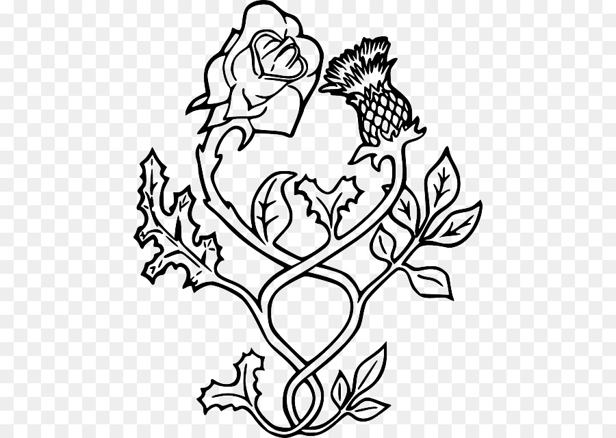 Thistle Rose Tattoo Scotland Drawing - rose png download - 510*640 - Free Transparent  png Download.