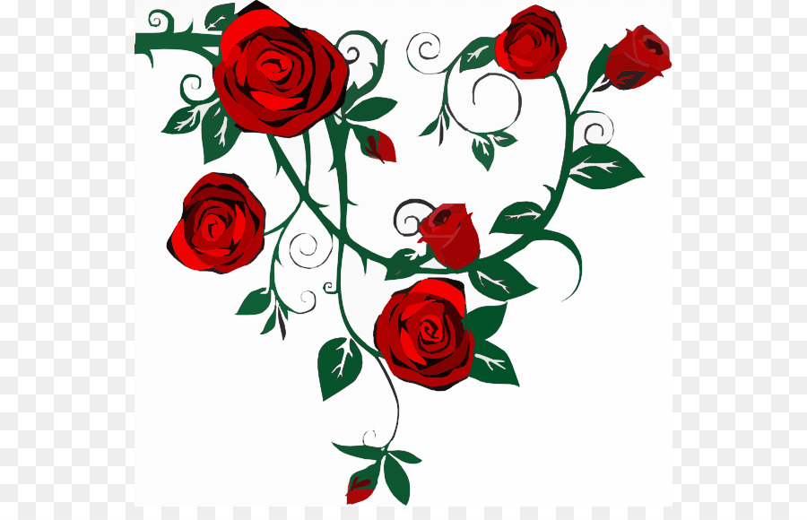 Rose Vine Drawing Clip art - Adriane Cliparts png download - 600*565 - Free Transparent Rose png Download.
