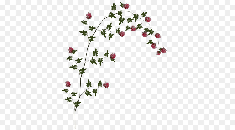 Rose Clip art - Rose Vine PNG File png download - 500*500 - Free Transparent Rose png Download.