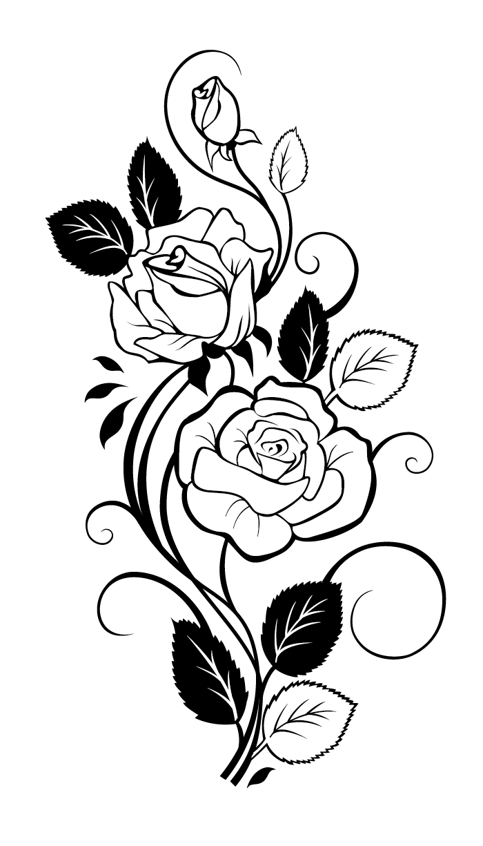 Rose Drawing Vine Clip art - Rose png download - 700*1225 ...