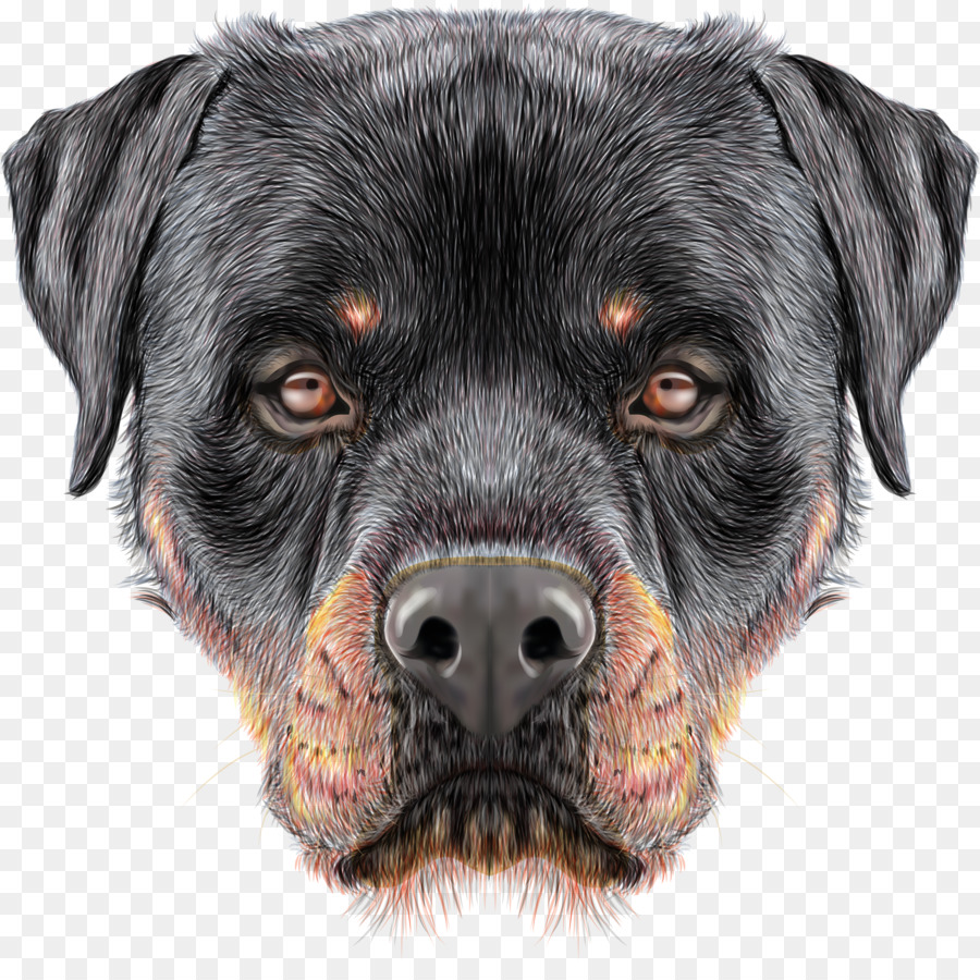 The Rottweiler Puppy Siberian Husky - puppy png download - 3663*3593 - Free Transparent Rottweiler png Download.