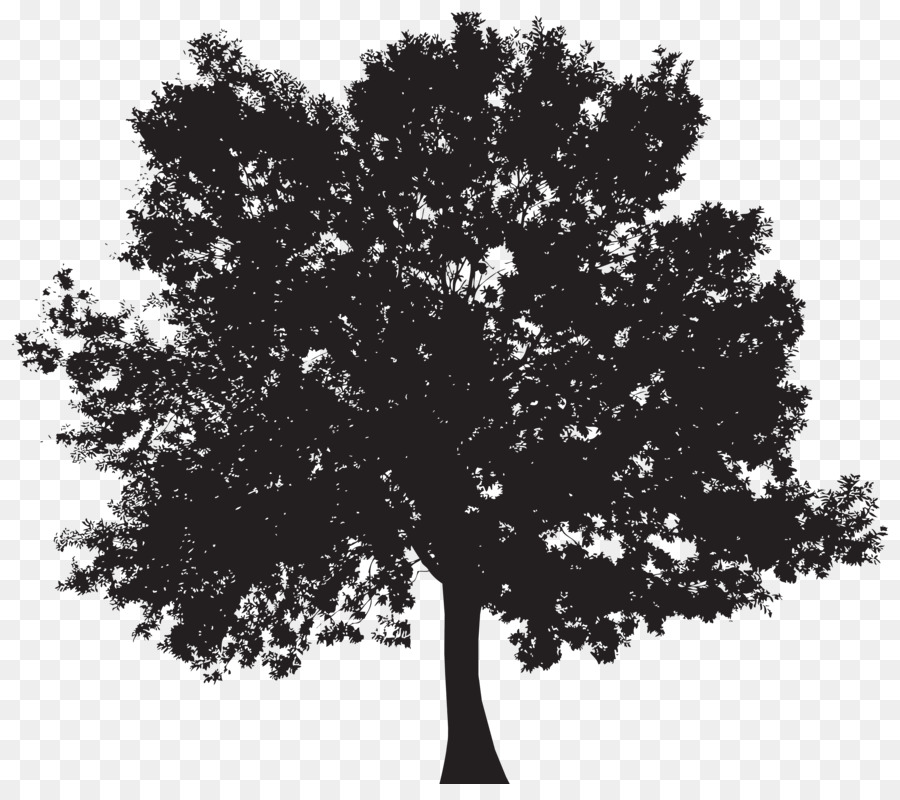 Tree Clip art - tree silhouette png download - 8000*6965 - Free Transparent Tree png Download.