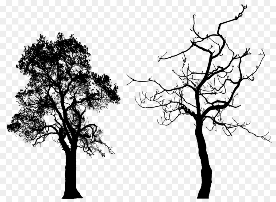 Tree Silhouette Clip art - Free Tree Silhouette png download - 1024*750 - Free Transparent Tree png Download.