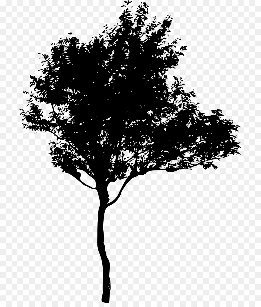 Silhouette Tree Royalty-free - mangrove png download - 768*1046 - Free Transparent Silhouette png Download.