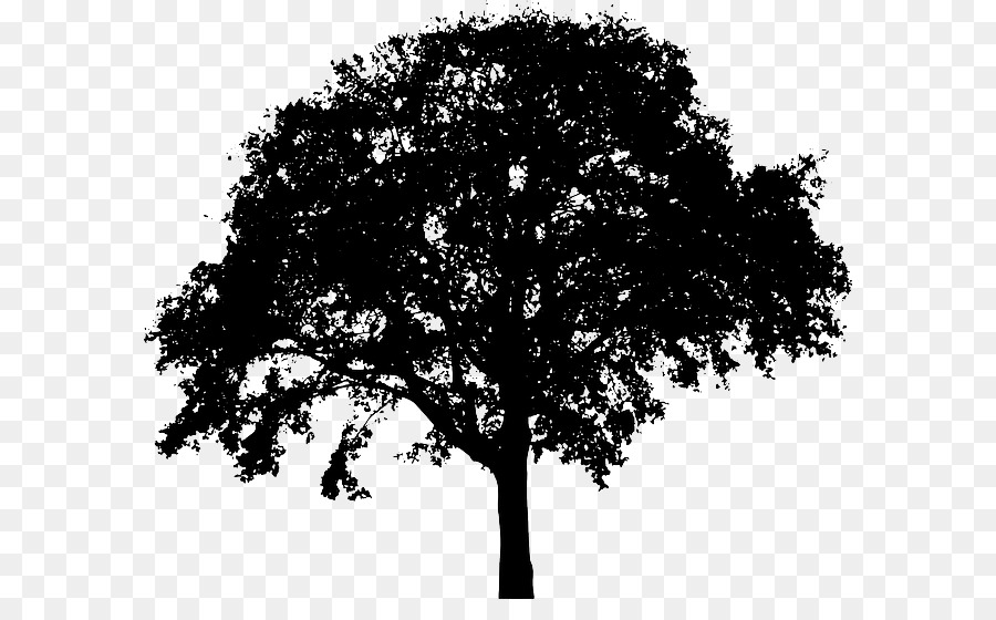 Tree Silhouette Royalty-free Clip art - iphone??? vector png download - 640*541 - Free Transparent Tree png Download.