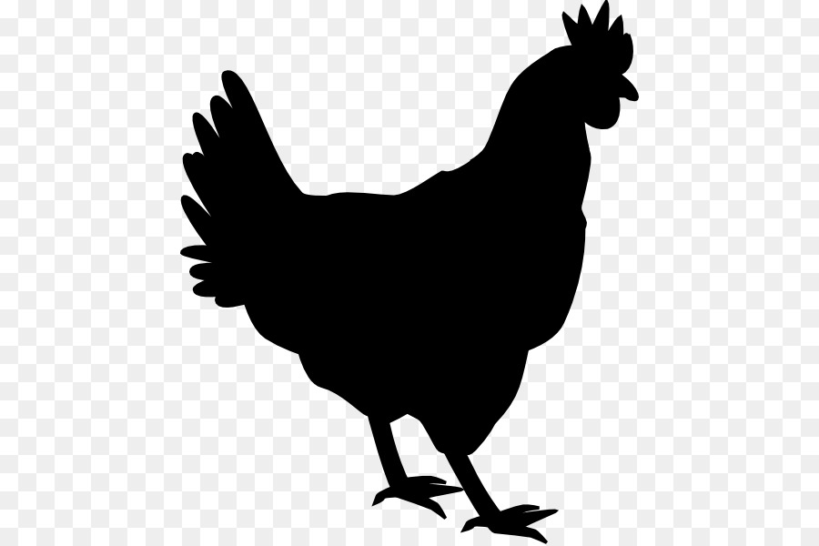 Silkie Shamo chickens Silhouette Drawing Clip art - Silhouette png download - 504*598 - Free Transparent Silkie png Download.