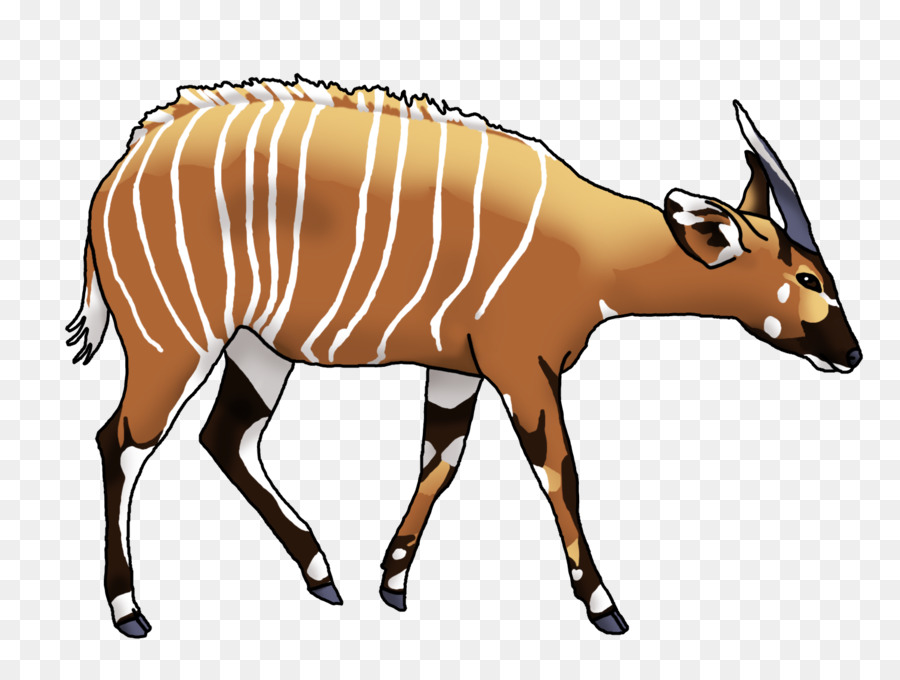 Antelope Bongo drum Cartoon Drawing Clip art - Water Buffalo Cartoon png download - 900*677 - Free Transparent Antelope png Download.