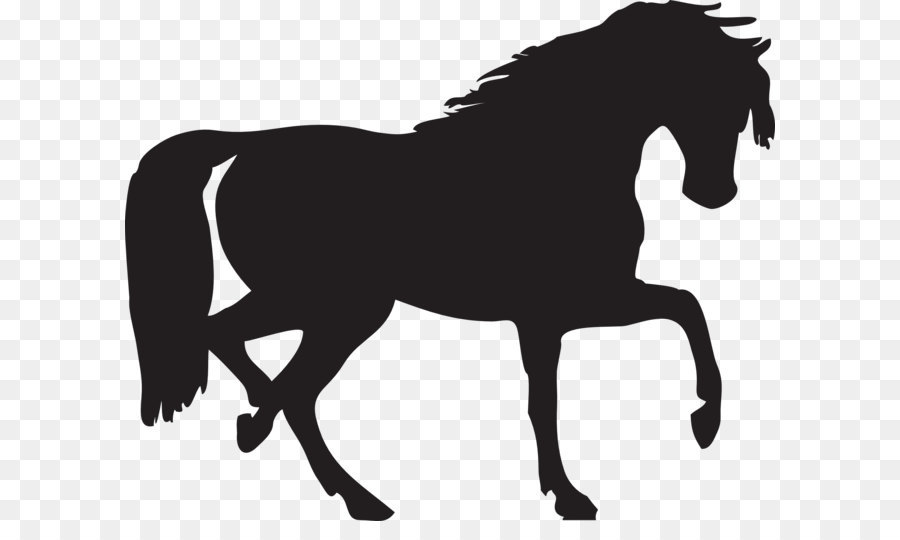 Horse Silhouette Clip art - Black horse siluete png image png download - 1969*1577 - Free Transparent Mustang png Download.