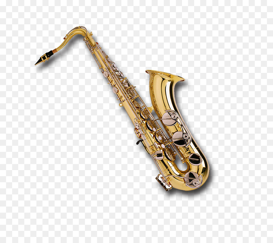 Baritone saxophone Musical instrument - Saxophone png download - 800*800 - Free Transparent  png Download.