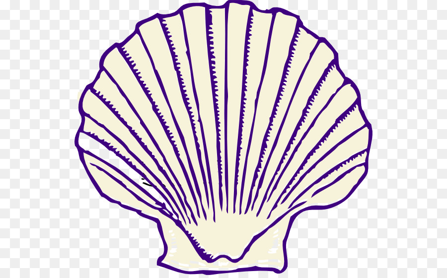 Seashell Clip art - purple note png download - 600*554 - Free Transparent Seashell png Download.
