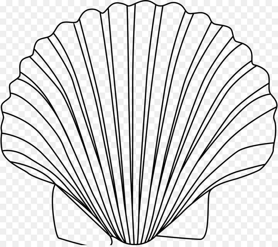 Clam Drawing Seashell Clip art - shells and starfish png download - 1200*1058 - Free Transparent Clam png Download.
