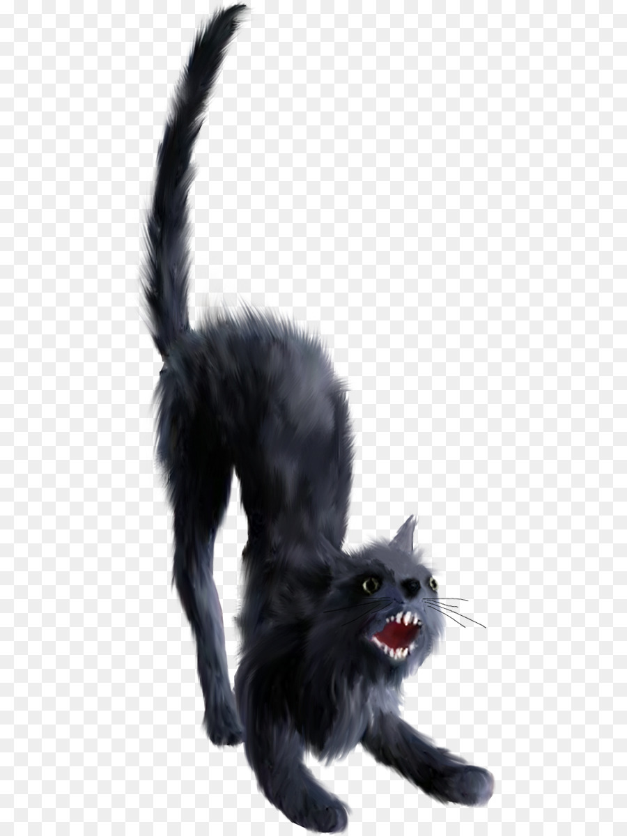 Black cat Clip art - Cat png download - 529*1200 - Free Transparent Black Cat png Download.