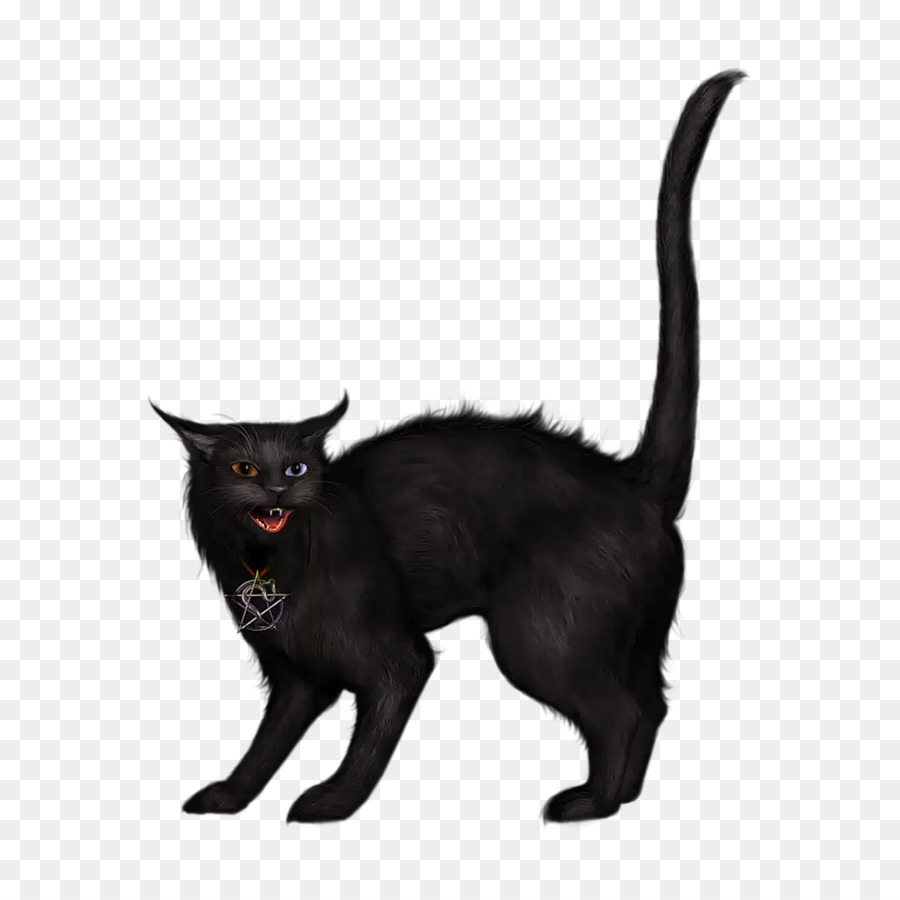 Black cat Clip art - creepy png download - 1200*1200 - Free Transparent Cat png Download.