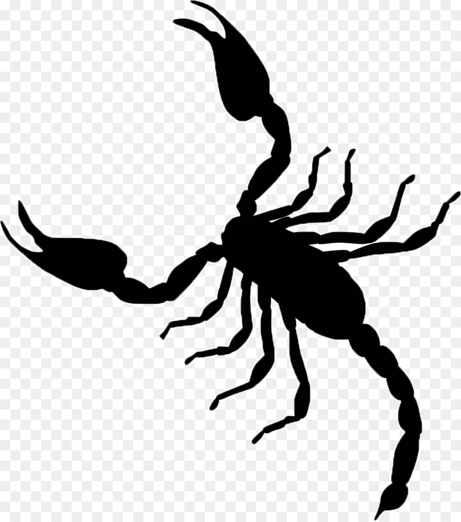 Scorpion Vector graphics Clip art Illustration Image - Scorpion png download - 932*1054 - Free Transparent Scorpion png Download.
