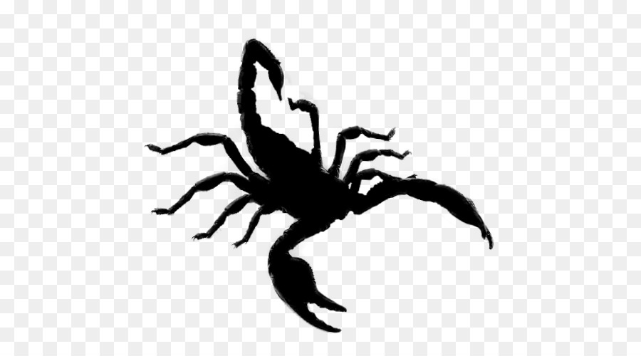 Scorpion Arachnid Insect Clip art Silhouette -  png download - 500*500 - Free Transparent Scorpion png Download.