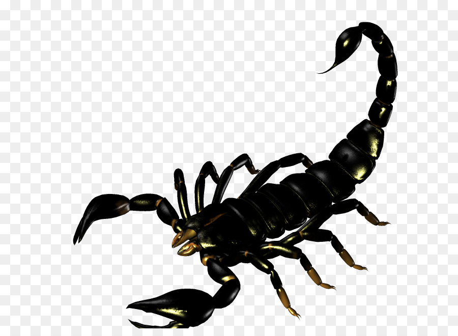 Scorpion Silhouette Clip art - Scorpion png download - 731*645 - Free Transparent Scorpion png Download.