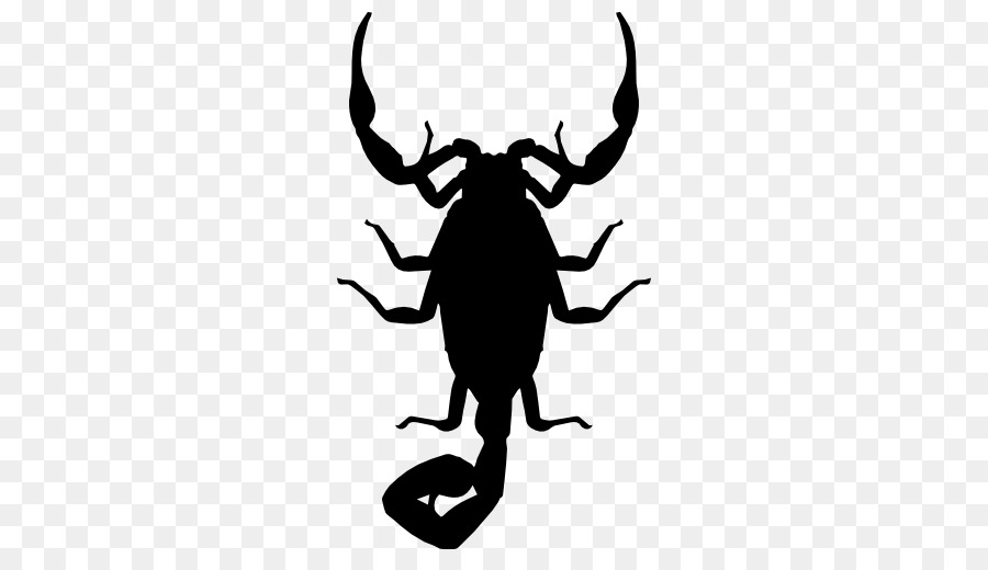 Scorpion Silhouette Euclidean vector Icon - Scorpion Silhouette png download - 512*512 - Free Transparent Scorpion png Download.
