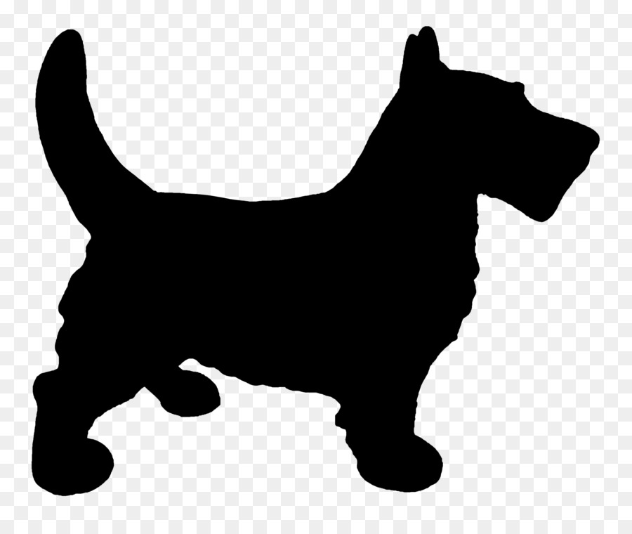 Scottish Terrier Cairn Terrier Puppy West Highland White Terrier Dog breed -  png download - 4398*3633 - Free Transparent Scottish Terrier png Download.