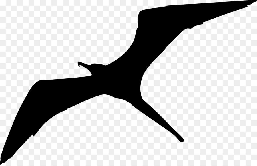 Fregatidae Bird Flock Clip art - bird silhouette png download - 1311*838 - Free Transparent Fregatidae png Download.