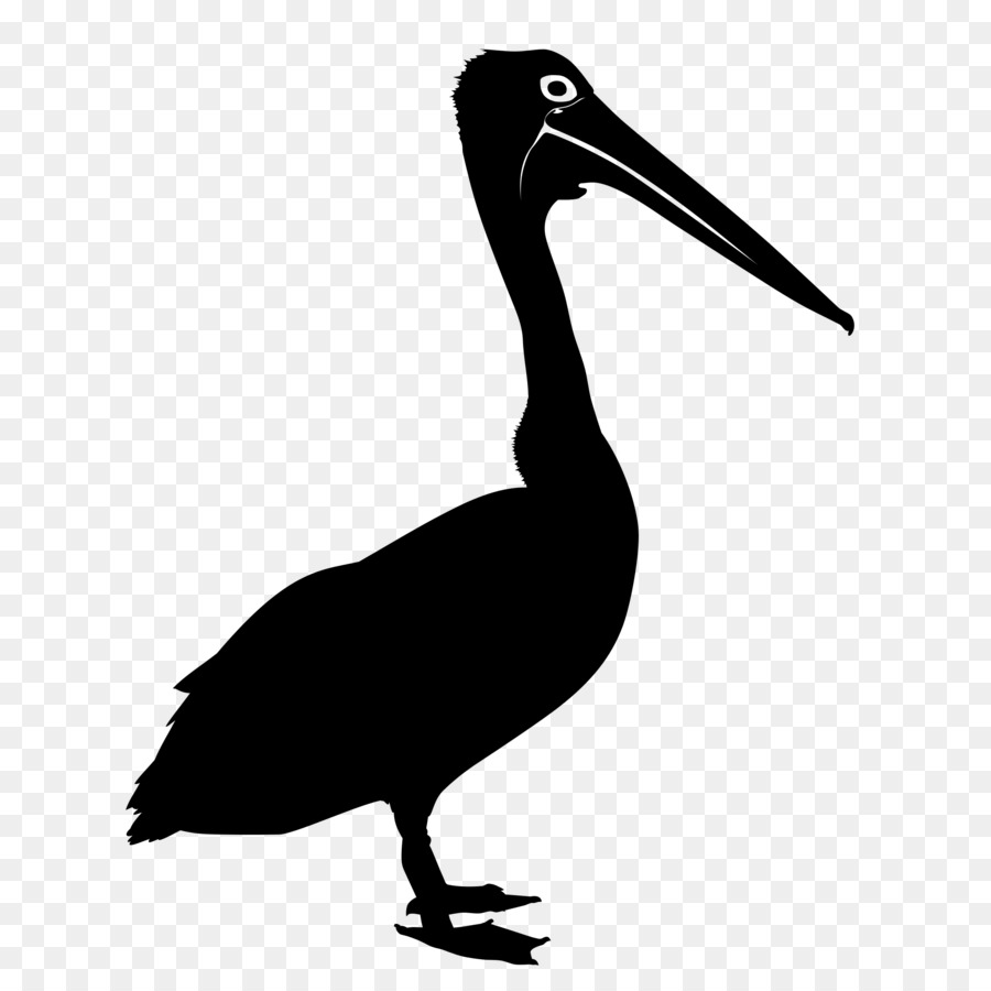 Australian pelican Bird Silhouette Clip art - Bird png download - 2048*2048 - Free Transparent Australian Pelican png Download.