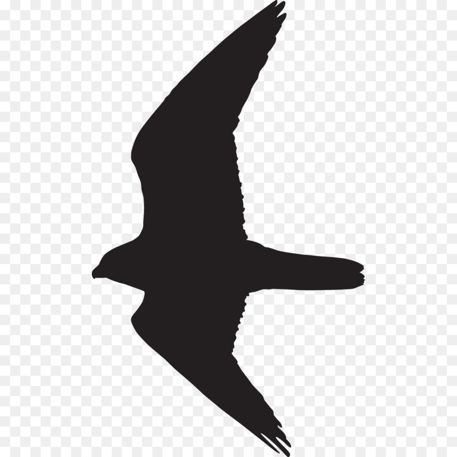 Bird Silhouette Prairie falcon - Bird png download - 1024*1024 - Free Transparent Bird png Download.