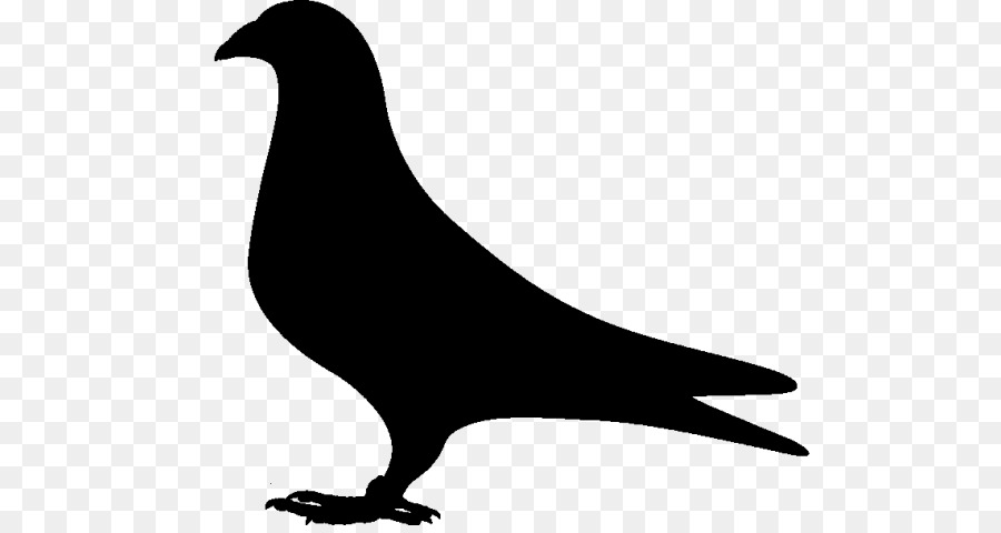 Pigeons and doves Clip art Fauna Silhouette Beak -  png download - 768*473 - Free Transparent Pigeons And Doves png Download.