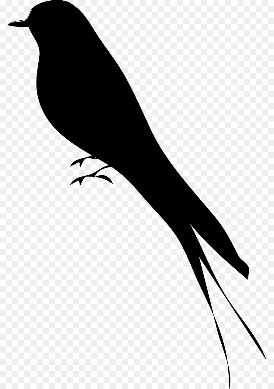 Bird Silhouette Drawing Clip art - Bird png download - 850*1280 - Free Transparent Bird png Download.