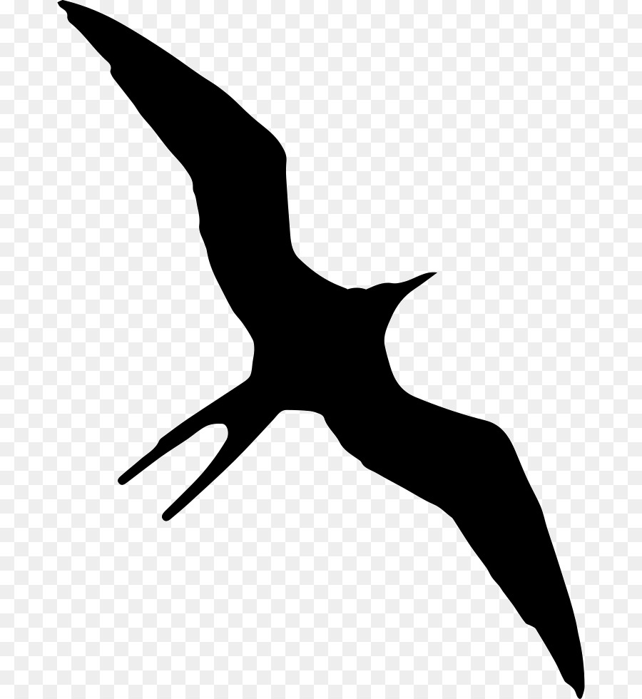Christmas frigatebird Gulls Silhouette Ascension frigatebird - Bird png download - 740*980 - Free Transparent Bird png Download.