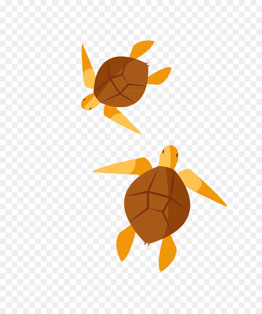 Turtle Clip art - Vector painted turtle png download - 660*1066 - Free Transparent Turtle png Download.
