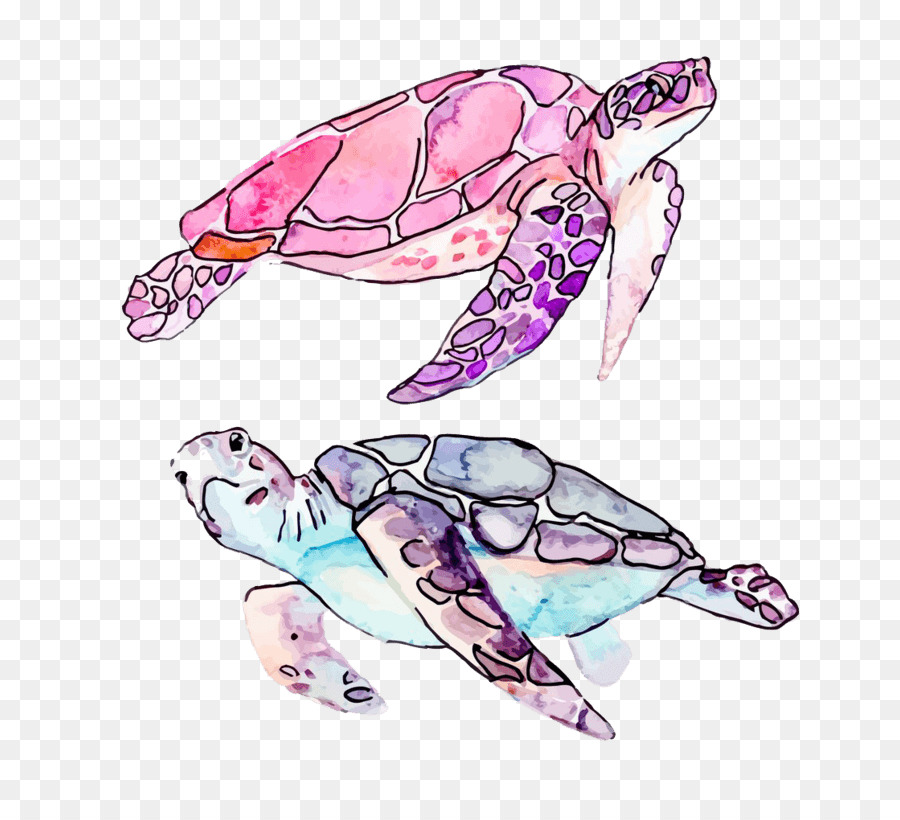Turtle Clip art Vector graphics Royalty-free Illustration - accidents watercolor png download - 804*804 - Free Transparent Turtle png Download.