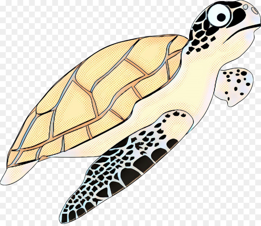 Clip art Vector graphics Turtle Portable Network Graphics Drawing -  png download - 2395*2057 - Free Transparent Turtle png Download.