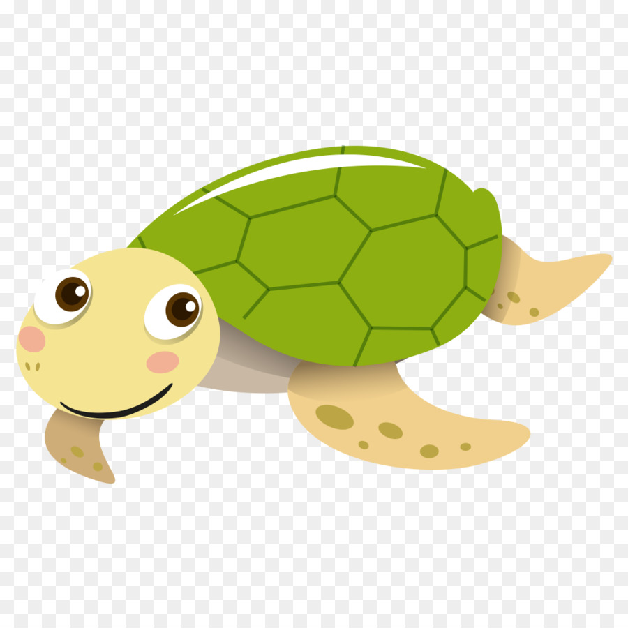 Sea turtle Tortoise Portable Network Graphics Vector graphics - cute tortoise png download - 1000*1000 - Free Transparent Sea Turtle png Download.