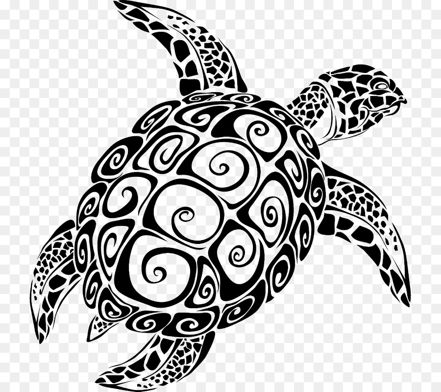 Sea turtle Vector graphics The Turtle Image - turtle png download - 800*800 - Free Transparent Turtle png Download.