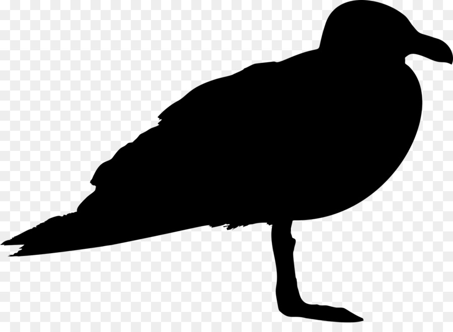 Gulls Bird Silhouette Clip art - kiwi bird png download - 1280*912 - Free Transparent Gulls png Download.