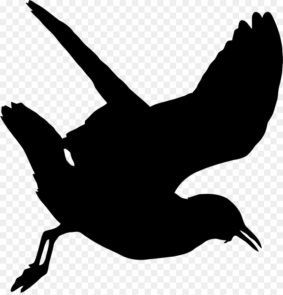 Gulls Silhouette Clip art - seagull png download - 2186*2266 - Free Transparent Gulls png Download.