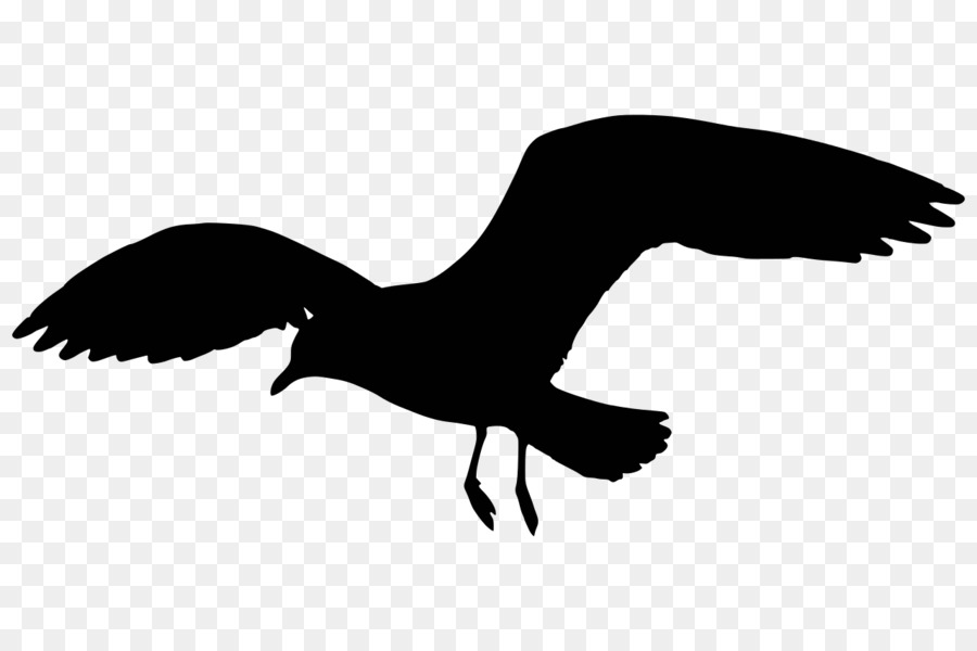 Gulls Silhouette Clip art - gull png download - 1280*853 - Free Transparent Gulls png Download.