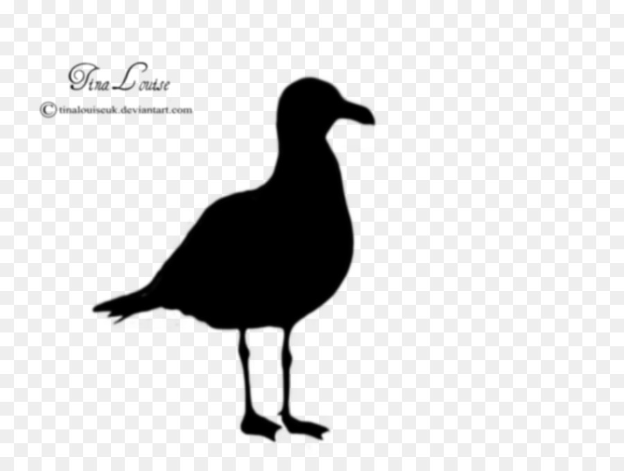 Gulls Silhouette Clip art - seagull png download - 1024*768 - Free Transparent Gulls png Download.