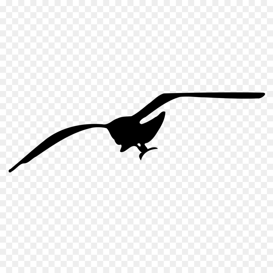Gulls Drawing Clip art - flying seagulls png download - 2400*2400 - Free Transparent Gulls png Download.