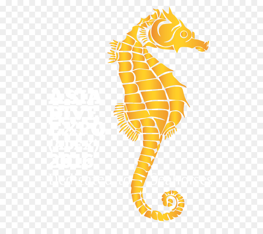 Seahorse Tourism Turkey Travel technology Asia - seahorse png download - 733*800 - Free Transparent  Seahorse png Download.