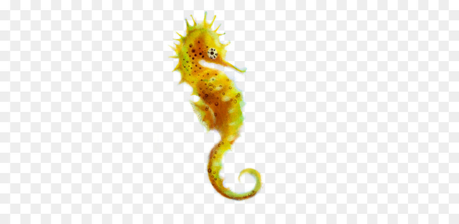 Seahorse Clip art - Seahorse Png Picture png download - 1134*756 - Free Transparent  Seahorse png Download.