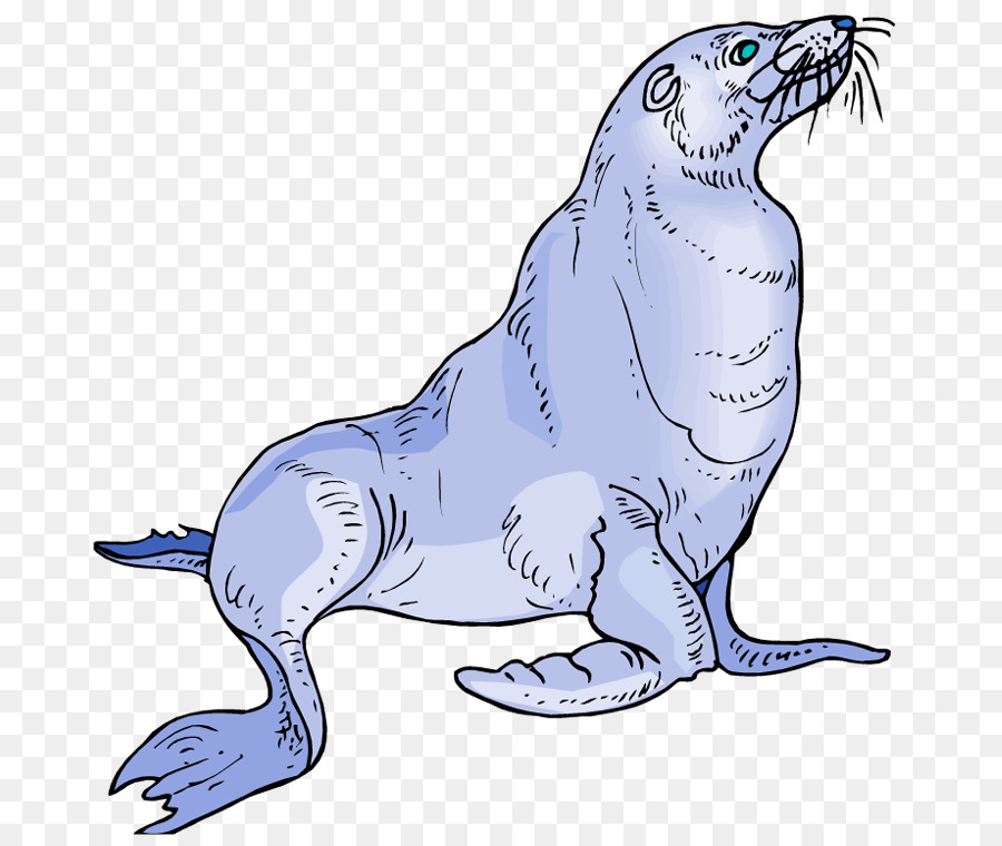 Baby sea lion Pinniped Clip art - Cute Cartoon Seals png download - 732*750 - Free Transparent  png Download.