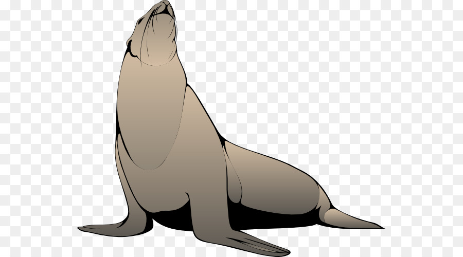 Pinniped Free Harp seal Clip art - Free Zoo Animal Clipart png download - 600*500 - Free Transparent Pinniped png Download.